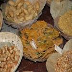 Vraj-Yatra-2014- (899)